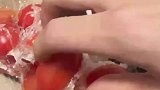 男子给女朋友做糖霜小番茄，有种采摘的体验感