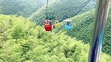 一点也不恐高的狗子，坐缆车比主人还淡定