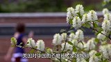 美国咎由自取，中国厂商暂停设备供应，美媒：撑不住了
