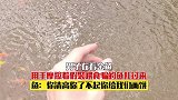 男子在看金鱼，假装喂食骗鱼儿过来