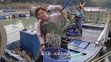 老广的味道：老板娘你都是老手了，一点痛都受不了呢