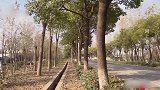 几名年轻男女不务正业，竟合伙“仙人跳”，落网后称想见爸妈