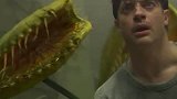 如果你掉进巨型捕蝇草嘴里会怎么样？