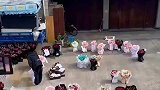 这一幕把人看呆了，送这么多花得多受欢迎