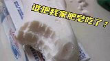昨晚喝多了，这也不知道谁咋还把我家肥皂吃了呢？