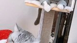 天天在家里看着三角恋的戏码，我的心好累……vlog日常