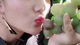 在发一次葡萄园里的额