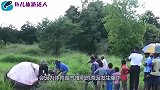 男子海上发现鲸鱼尸体，跳上去拍照，随后却发生这一幕
