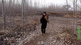 金毛在野外发现只死兔子，小伙说死因跟身上的针管有关，咋回事？