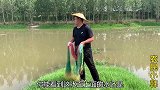 水库放水渔夫撒网8米手撒网捕鱼，一网落水遭殃了，这该怎么办？