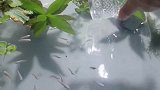 提升水位上升的秘密，这是大气压力的效果，太神奇了！