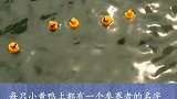 6万“小黄鸭”下水比赛，这奖品可太刺激了