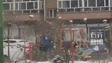 男孩雪天荡秋千  东北的悠悠不下雪你也抢不上啊！