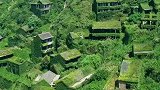 曾经繁华的小岛，30年前村里3000人一夜之间全部搬走