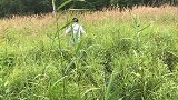 山里太热啦，小雪不知道怎么了头疼还想吐！是不是蘑菇中毒啦？
