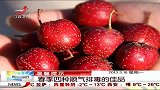晨光新视界-20130318-春季四种顺其排毒的佳品