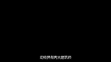 马蜂为什么被称为建筑师？用刀切开后，一切豁然开朗！