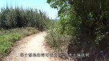 世界上最小的火山，浇灭它只需要一盆水，太给火山丢人了