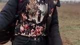 找了半天都没找到油菜花