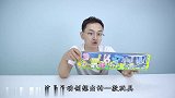 小志开箱灵动创想的乐字星 动物可以变身字母 考拉太可爱了