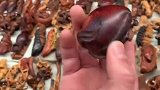 周末的市场还是很热闹的哈