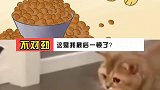 他给的实在太多了，不对劲啊