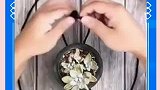 小技巧：家里有花盆的，