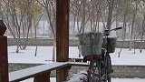 流浪人在北方怎么过冬的，没有人知道他经历了什么