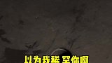 有些人表面高冷，内心热情似火。谁不想要一个这样的闺蜜呢