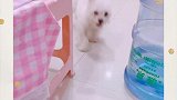 你懂他们奔向你的那种喜悦吗