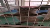 大脸猫大脸猫爱吃鱼。。