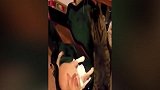 狗狗和主人玩耍，谁知道竟然从沙发上掉了下去，好搞笑！