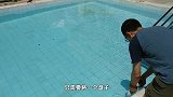 盘子划过静止的水池后，为什么会出现两个黑色圆圈