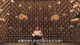 进入负分贝房间是种什么样的体验挑战者表示太恐怖！