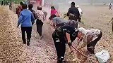 老头老太太的战斗力爆棚