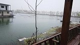 下雨天没地方遛狗，带着拉拉进荒废的农家乐，阴雨天显得格外恐怖