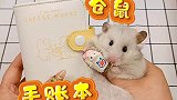 我的仓鼠有手账本啦！竟然是这个样子