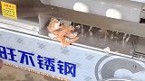 农民研发出鸡蛋剥壳机，一秒钟剥一个鸡蛋太快了！