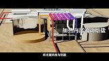 #视听中国 “石榴花开向未来”“三月三”新视听作品大赛 一等奖：《咱们新疆好地方：种太阳》