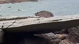 海水退潮看见许多海胆，不少游客上手采摘