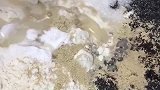 超简单的黑芝麻大馒头做法，营养又好吃火山美食