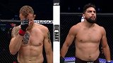 UFC格斗之夜172主赛：赫尔曼森VS盖斯特鲁姆