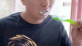 主人用金毛轮胎用过的牙刷在刷牙，结局有亮点，太逗了