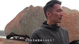 谢霆锋评论张柏芝，2字点破一切，网友：果然分手了