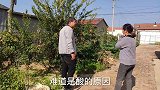 小凯发工资8400块，要去干什么？婆婆和对象都不愿意了