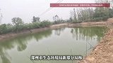 郑州一水库漂浮大量死鱼，村支书称近几年首次出现，环保部门回应