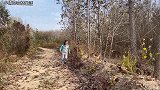 鸡毛难拔有窍门，小媳妇教你个土方法，分分钟搞定比脱衣服都快