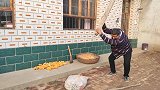 对不起大家，今天停更一天