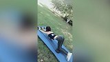 美女公园草地铺瑜伽垫直接开练 这还让不让人好好春游了