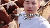 养殖业不容易，风险也大